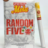 thuốc lá Zest Mola Random Five